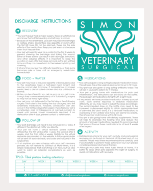 Flyer Design by senja for this project | Design: #25716127