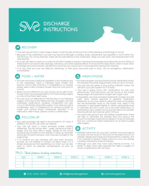 Flyer Design by senja for this project | Design: #25717647