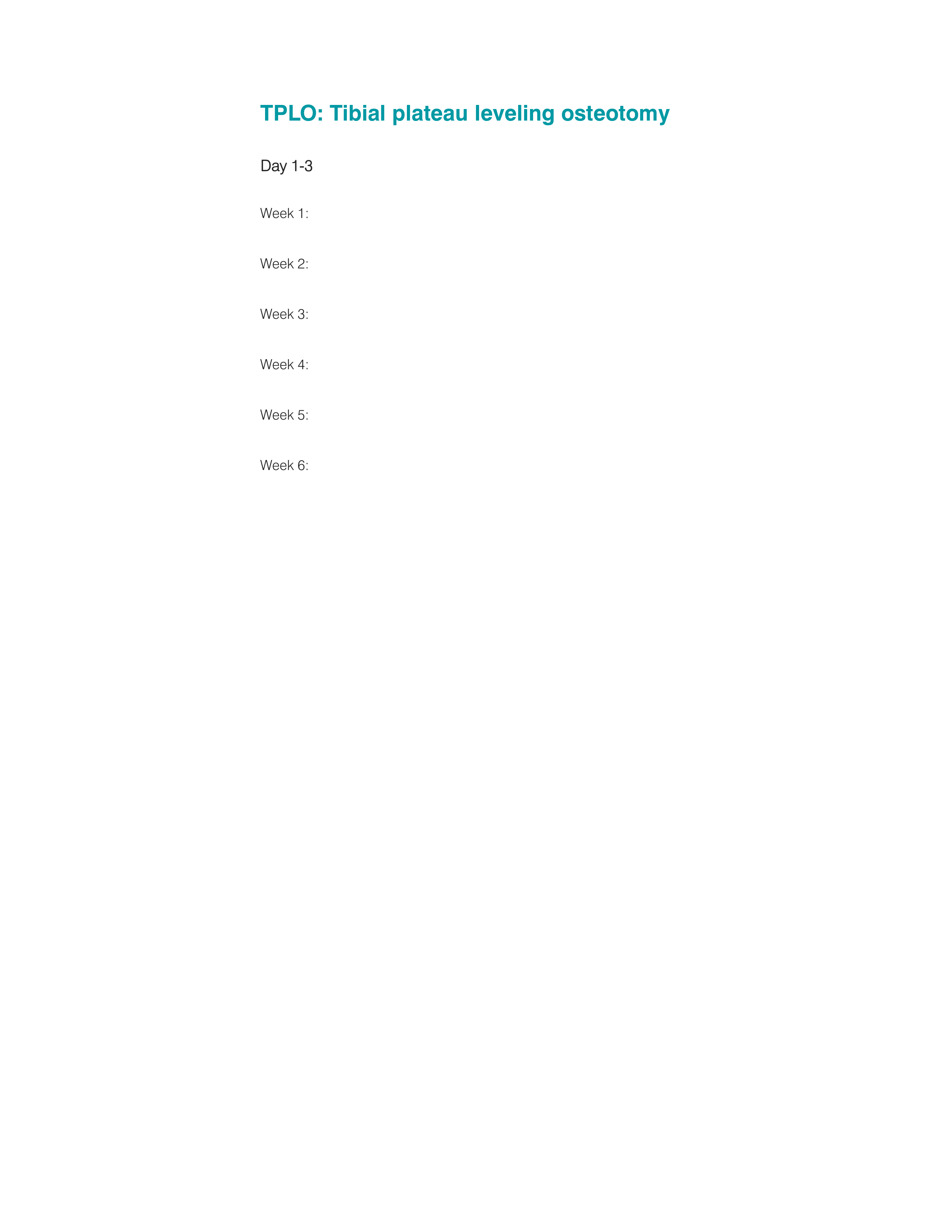 Flyer-Design von Maureen Goh, ArtNType für dieses Projekt | Design #25678044