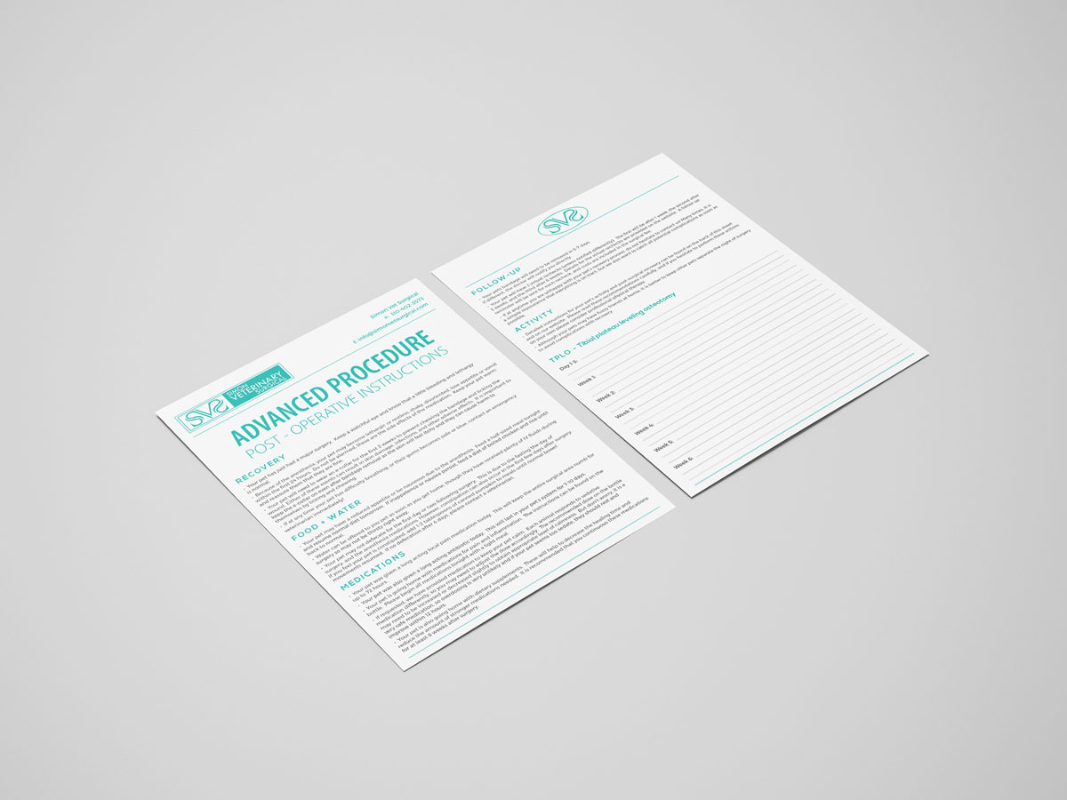 Design de Flyer par Anna G. pour ce projet | Design #25687156