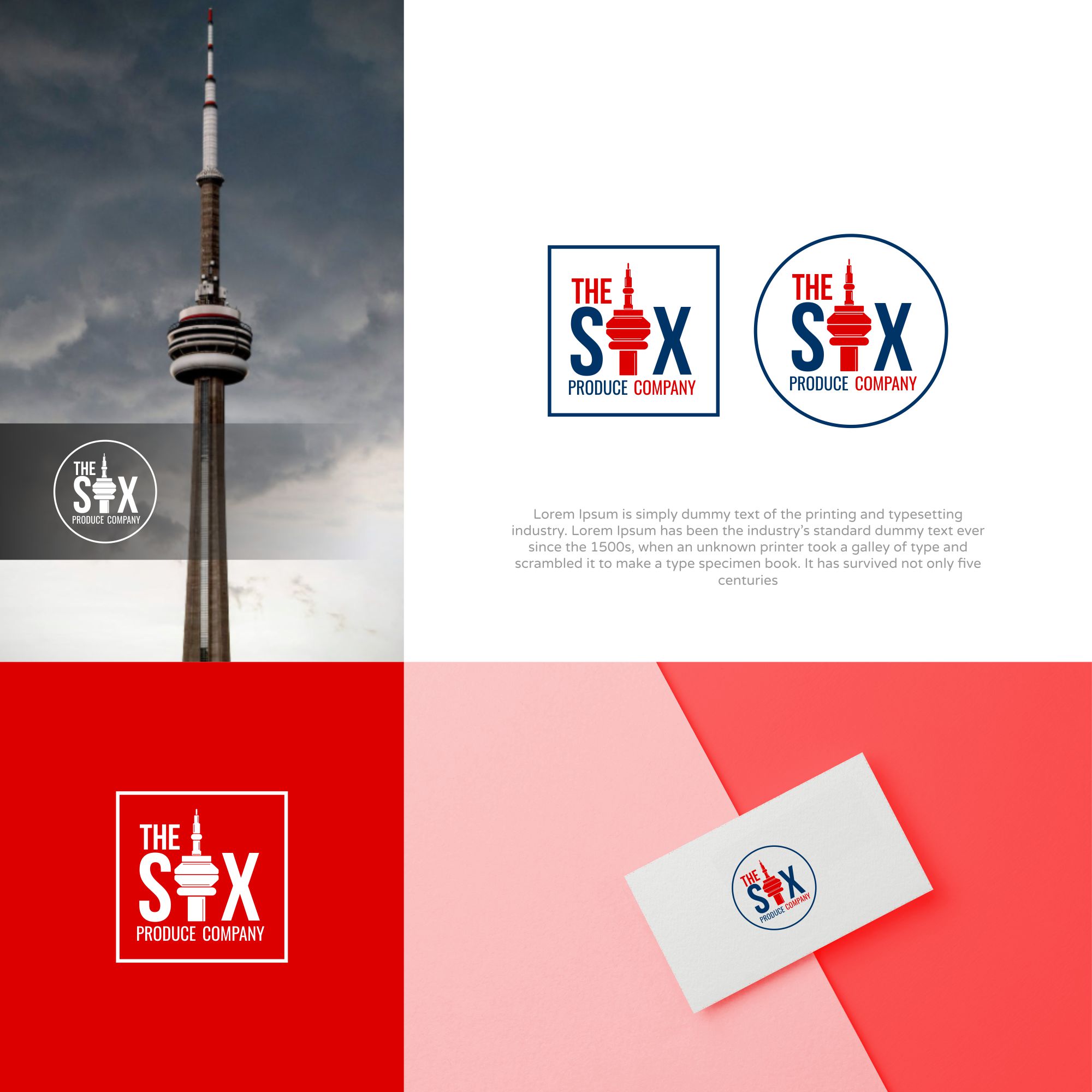 Logo Design by MX LogoArt for this project | Design #25639248