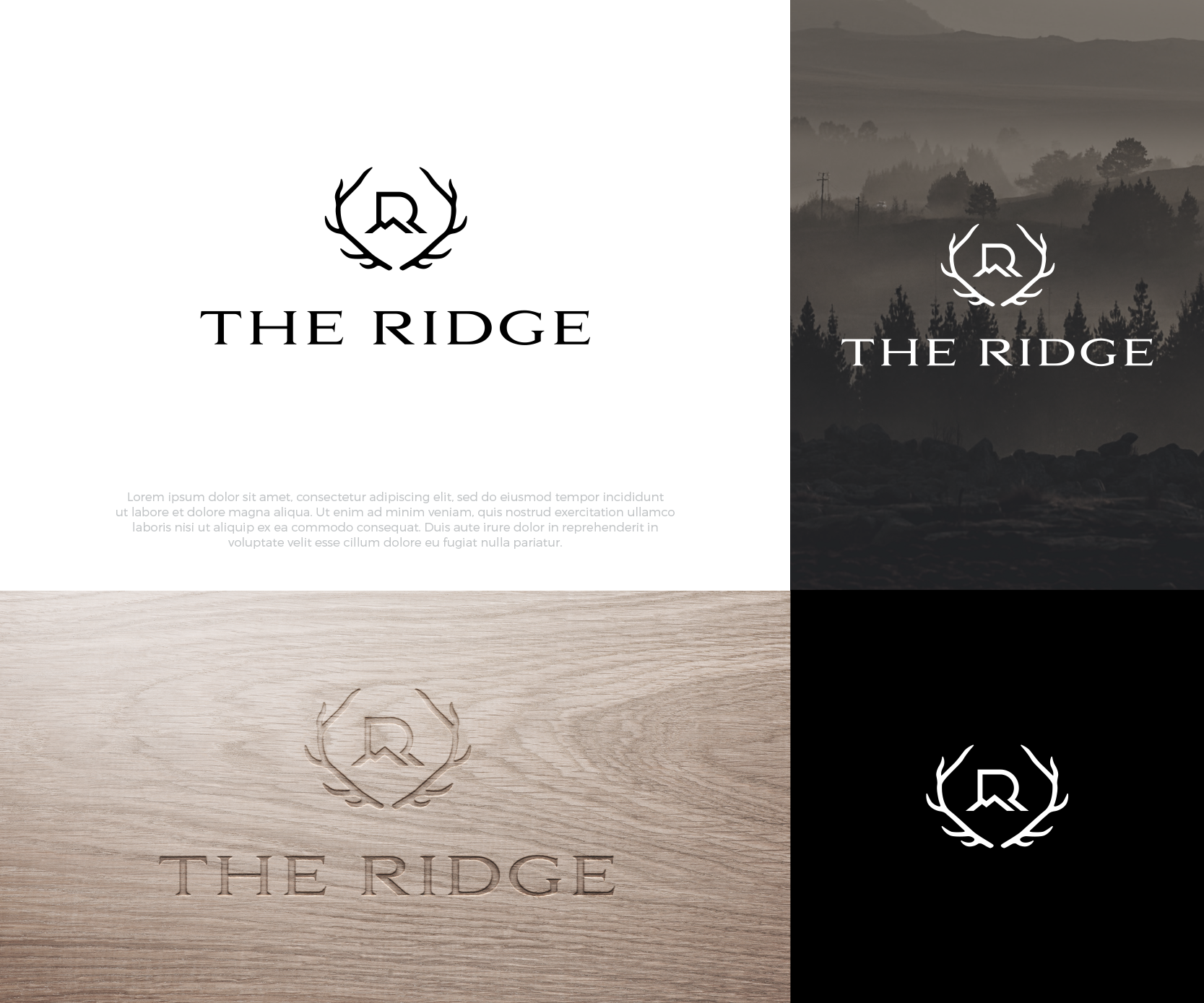 Design de Logo par airborne pour ce projet | Design #25637972