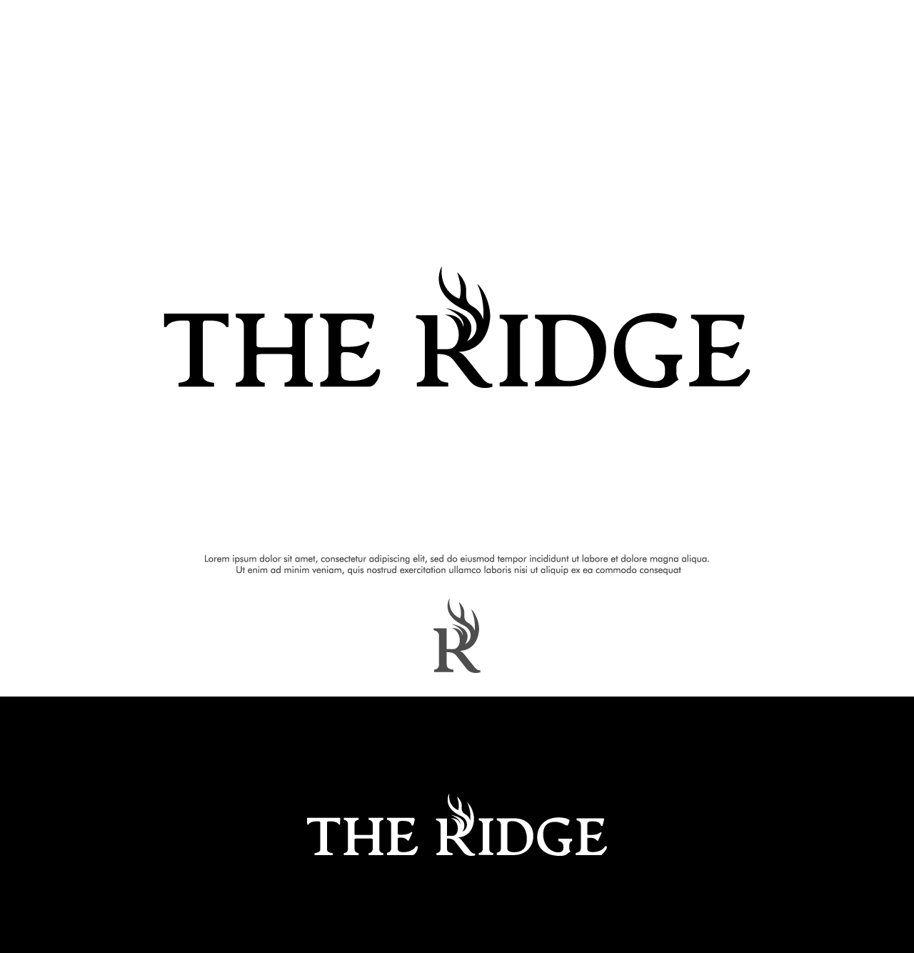 Logo Design by Ara Studio for this project | Design #25685347