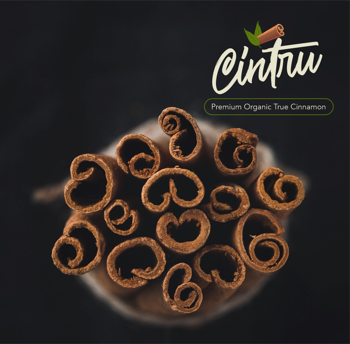 Logo Design by joshgraph for this project | Design #25683013