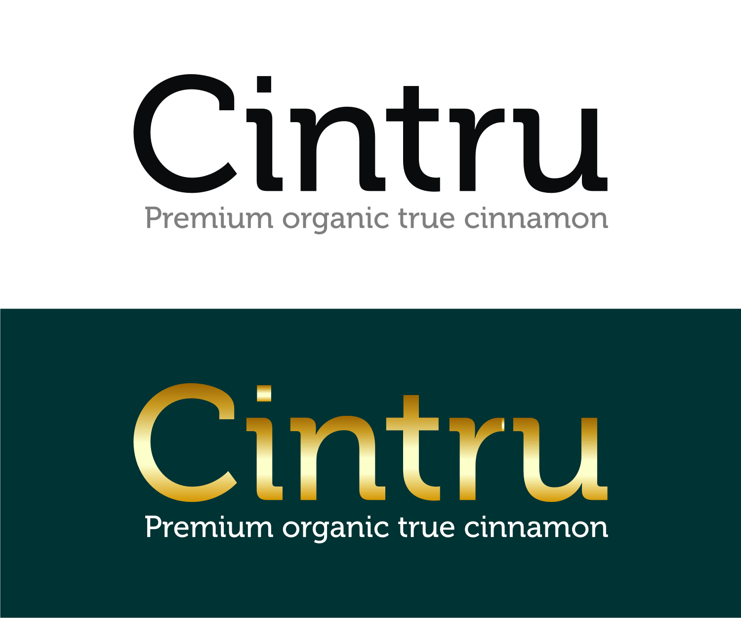 Logo Design by R16 for this project | Design #25683369