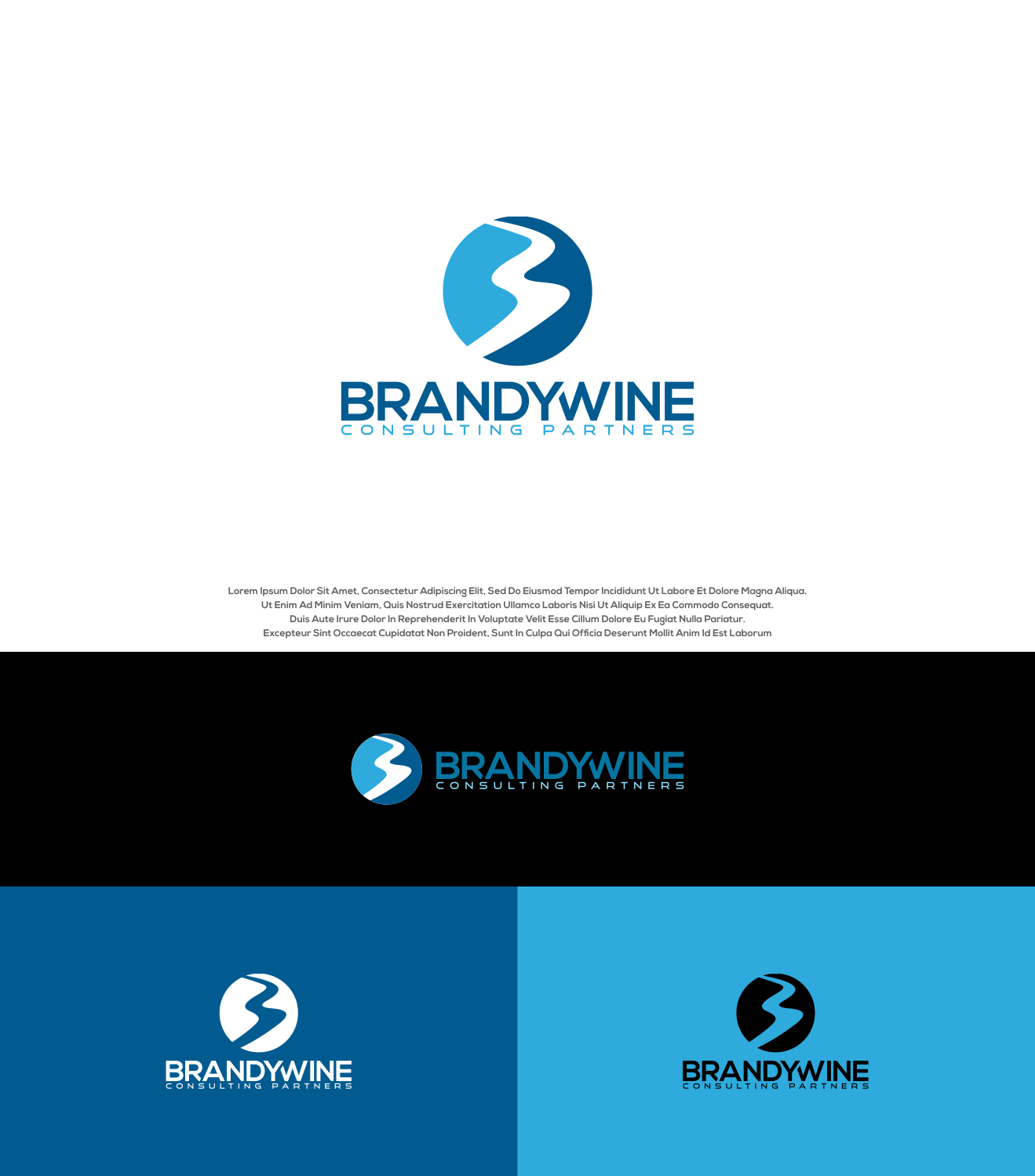 Design de Logo par Aditya.DwiRama pour Brandywine Consulting Partners, LLC | Design #25652271