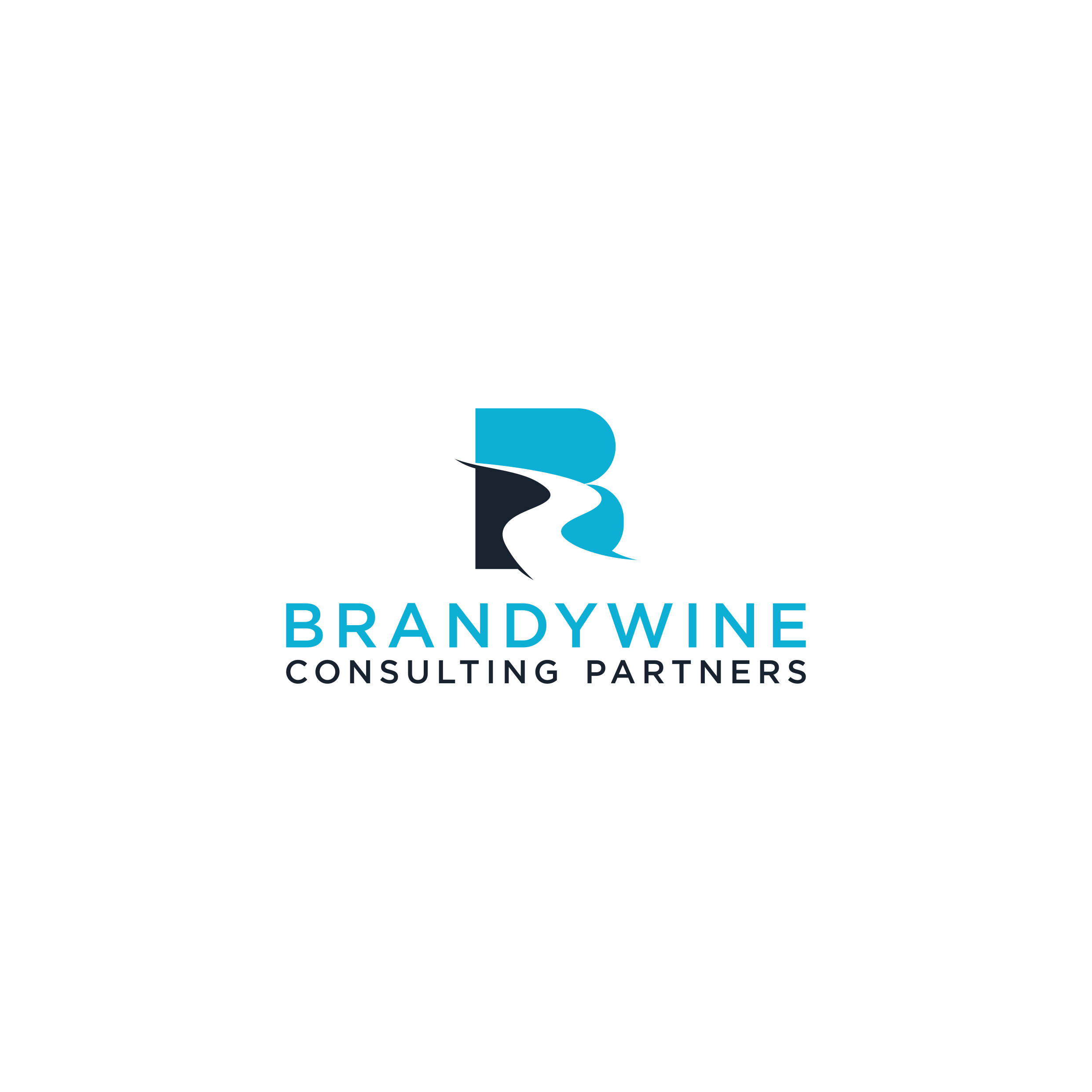 Logo Design by HiDzign for Brandywine Consulting Partners, LLC | Design #25644885