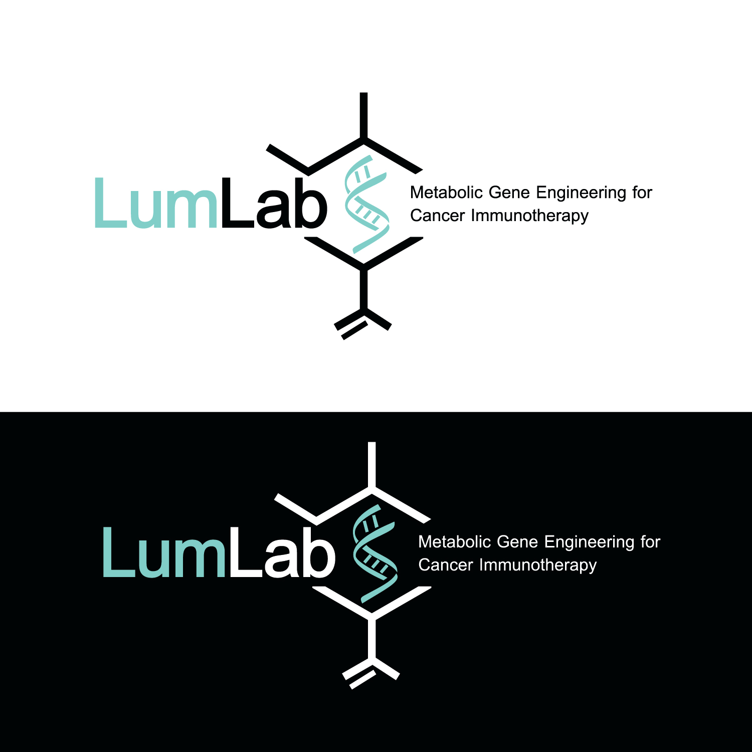 Diseño de Logo por emptyboxgraphics para este proyecto | Diseño #25659419