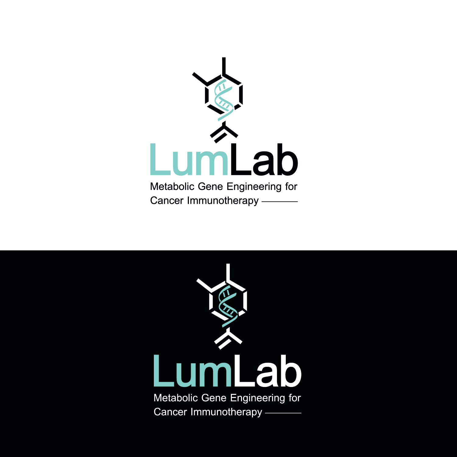 Diseño de Logo por emptyboxgraphics para este proyecto | Diseño #25660638