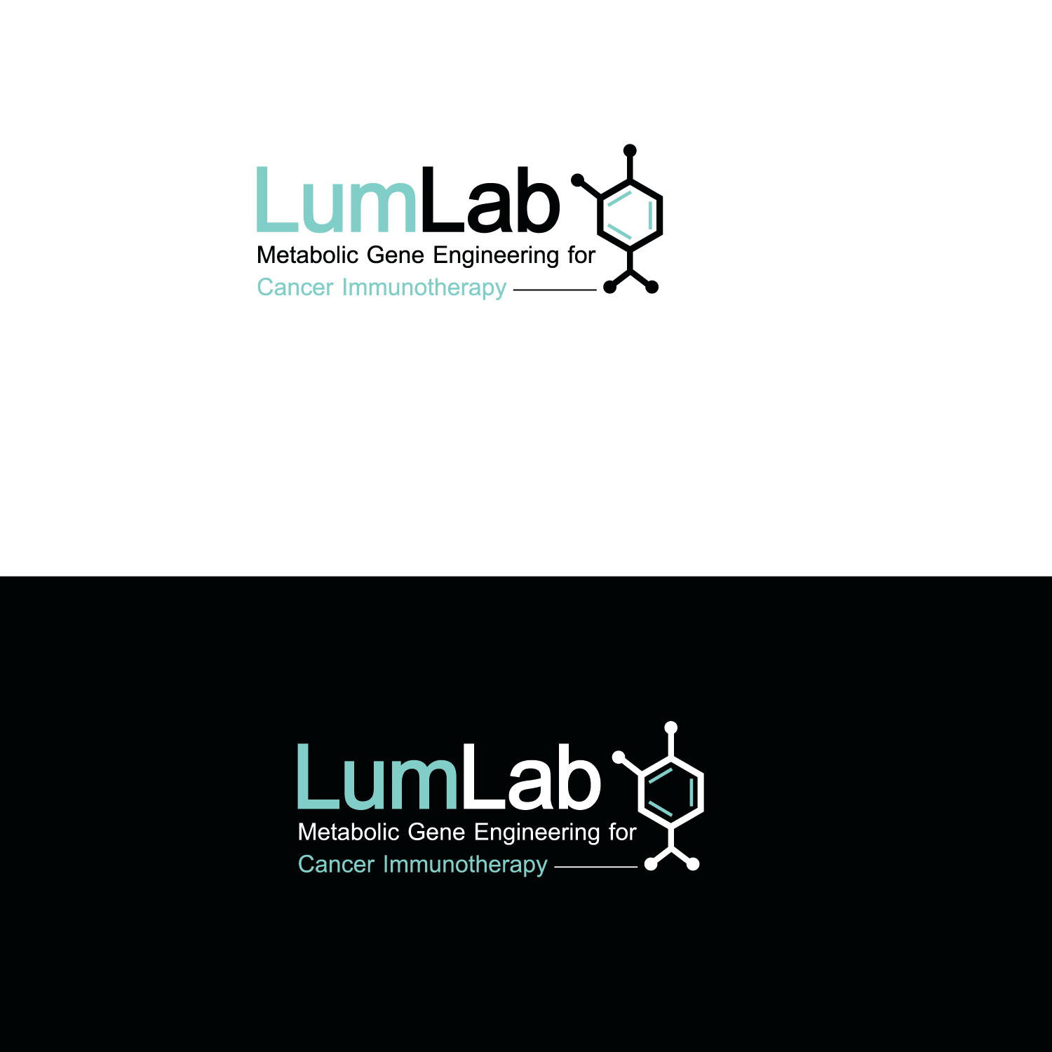 Diseño de Logo por emptyboxgraphics para este proyecto | Diseño #25662245