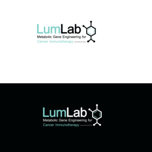 Diseño de Logo por emptyboxgraphics para este proyecto | Diseño: #25662245