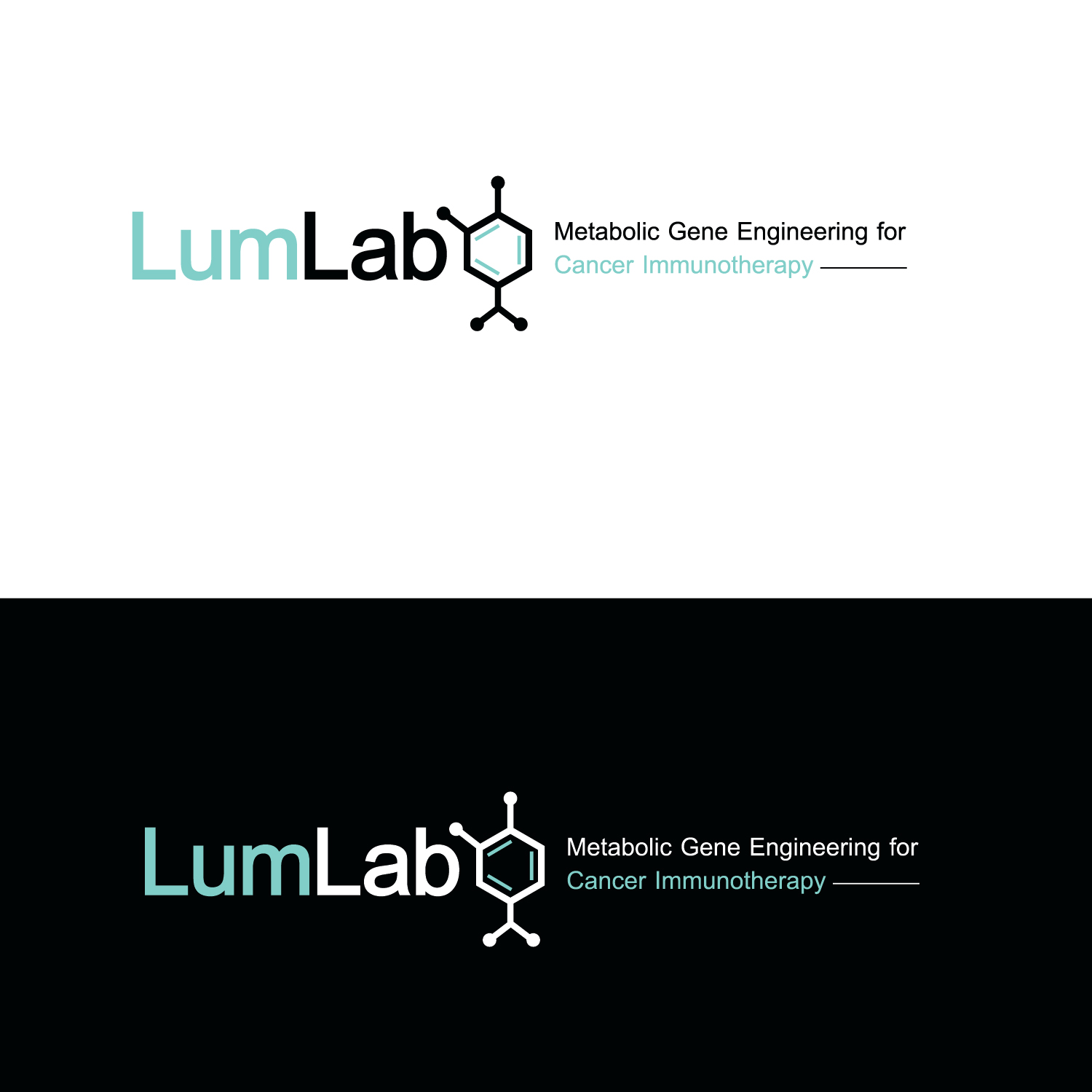 Diseño de Logo por emptyboxgraphics para este proyecto | Diseño #25662246