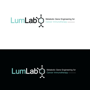 Diseño de Logo por emptyboxgraphics para este proyecto | Diseño: #25662246