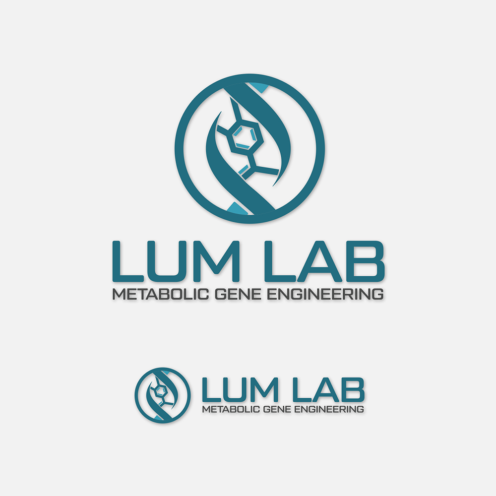 Diseño de Logo por IdentsArt para este proyecto | Diseño #25658884