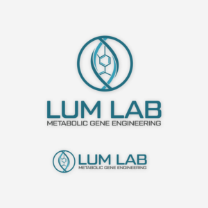 Diseño de Logo por IdentsArt para este proyecto | Diseño: #25699892