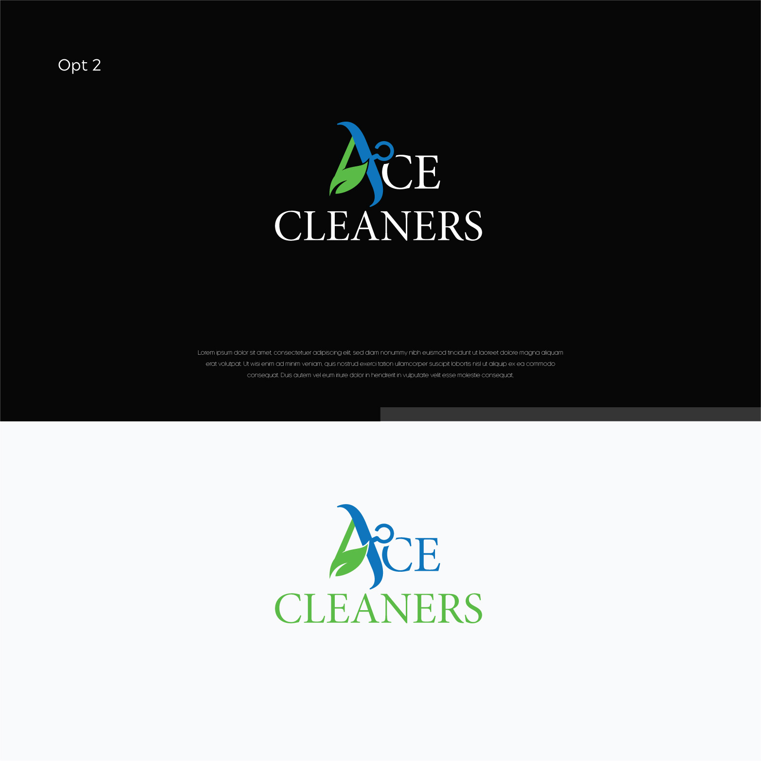 Logo Design by Shigh5 for this project | Design #25674029