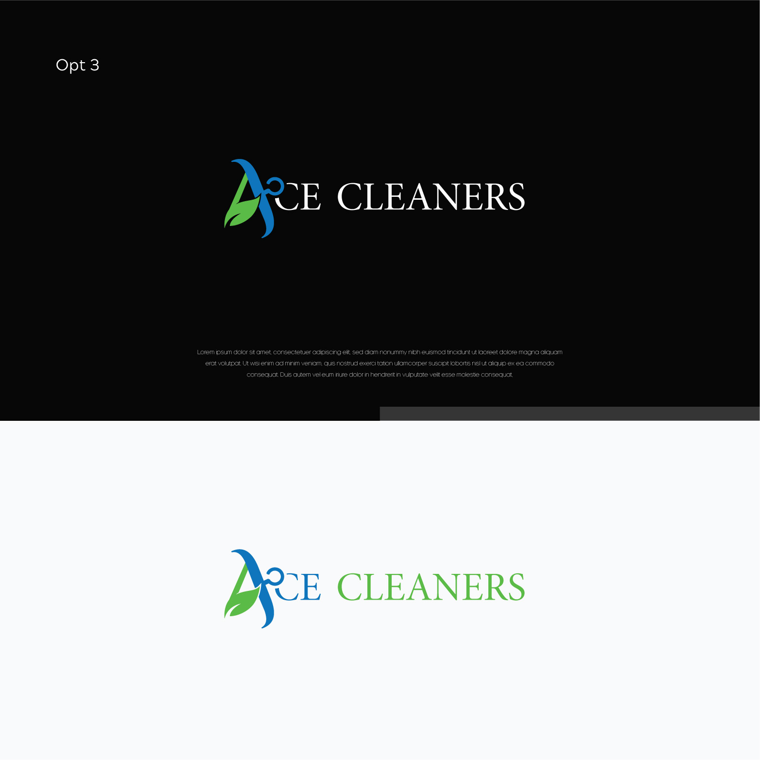 Logo Design by Shigh5 for this project | Design #25674030