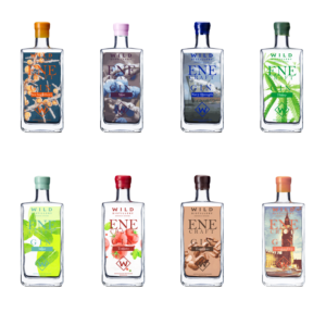 Packaging Design by Arbaz13