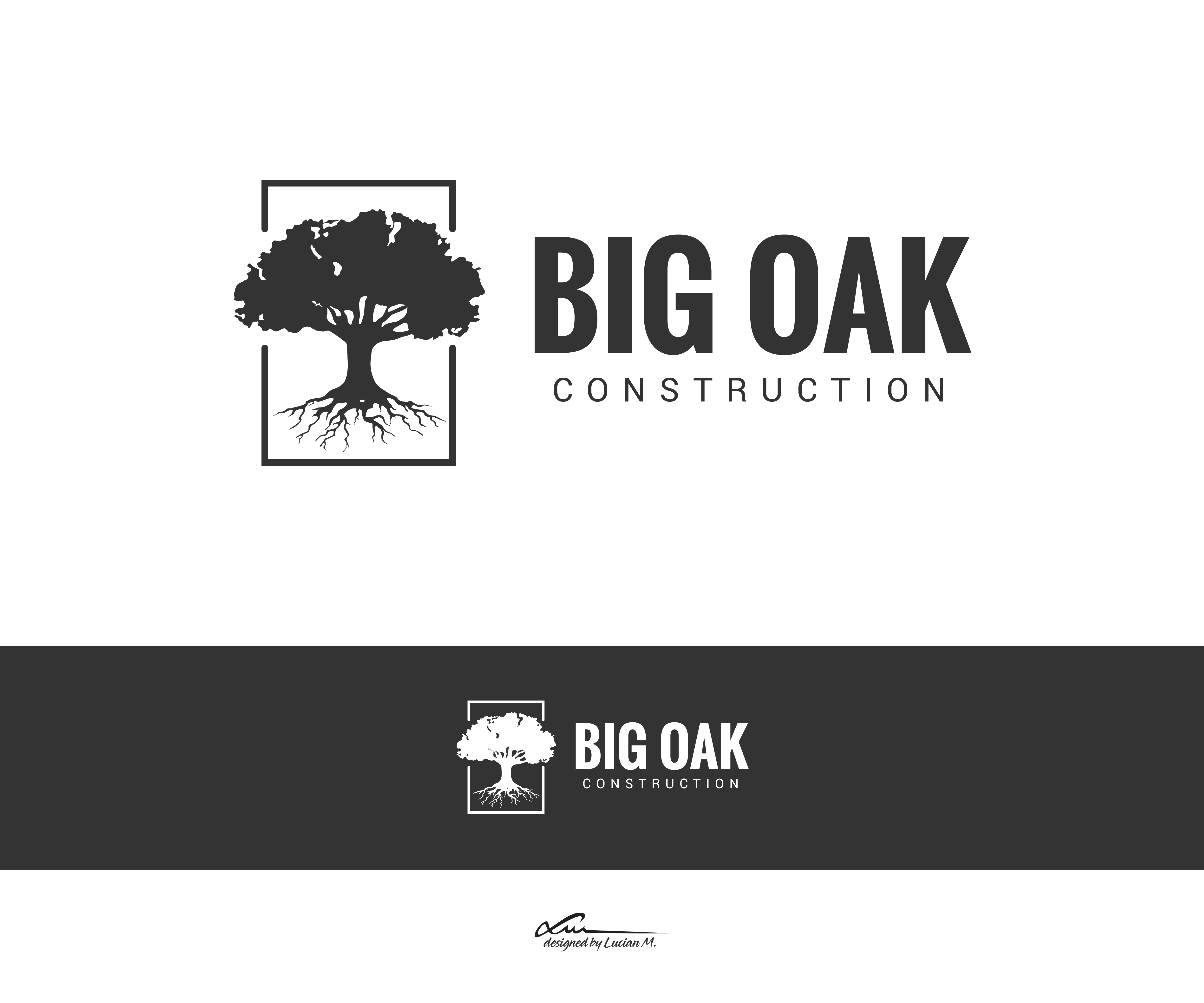 Logo Design by LucianM81 for this project | Design #25694826