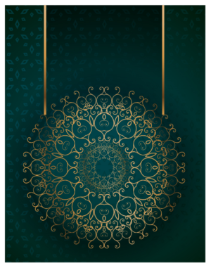 Design Graphique par Bins pour ce projet | Design : #25685259