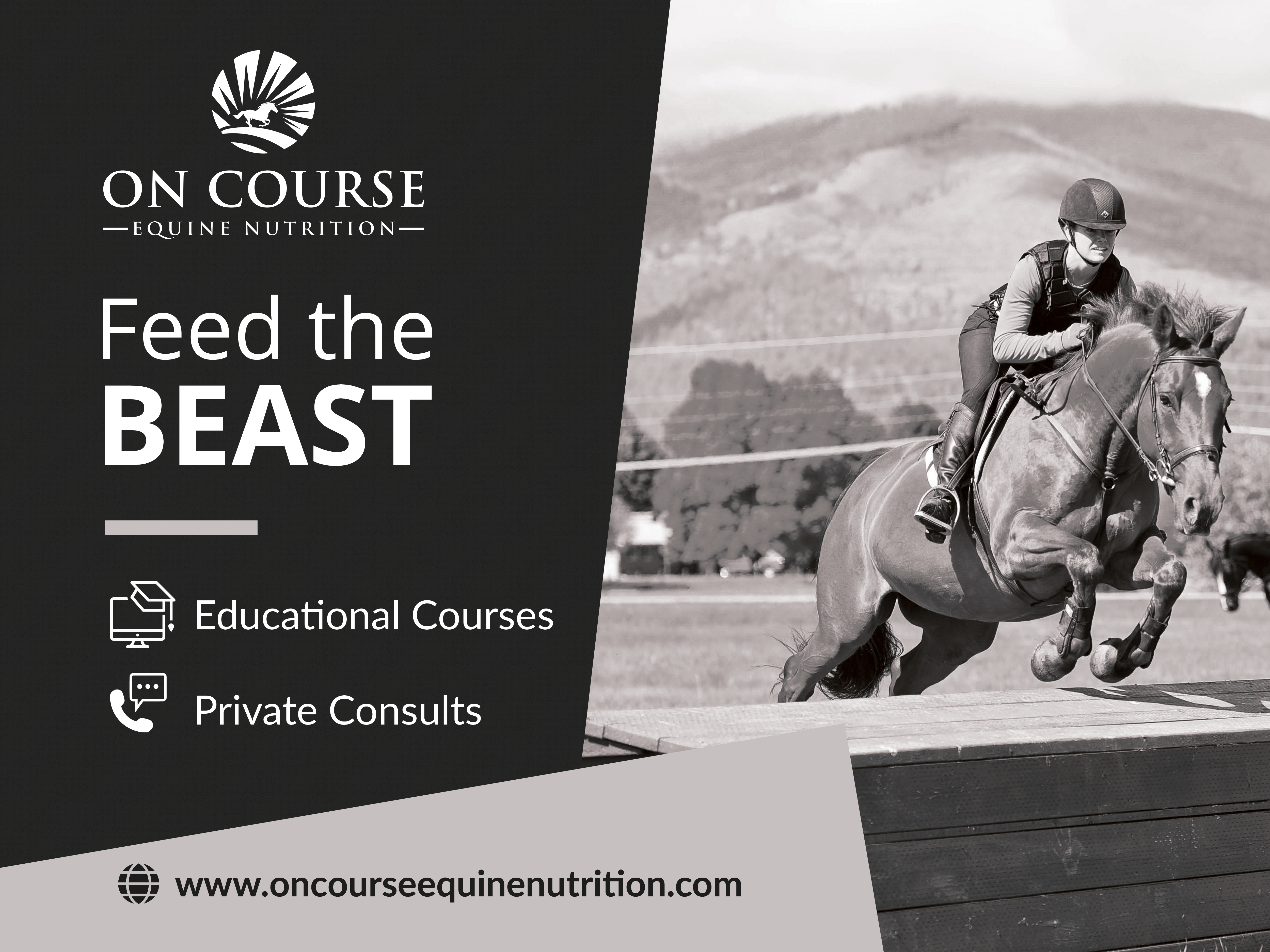 Flyer Design by tanya_gaysina59 for On Course Equine Nutrition | Design #25696728