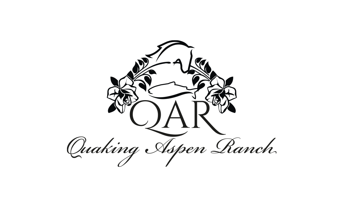 Logo Design by patriciaparadesign for this project | Design #25733324