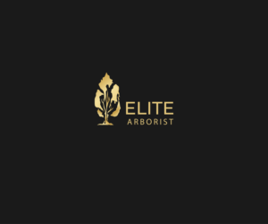 Logo Design by Jhannel for this project | Design: #25681324