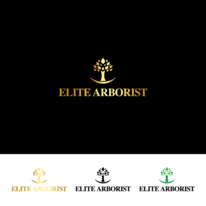 Logo Design by anshtoyj for this project | Design: #25674163
