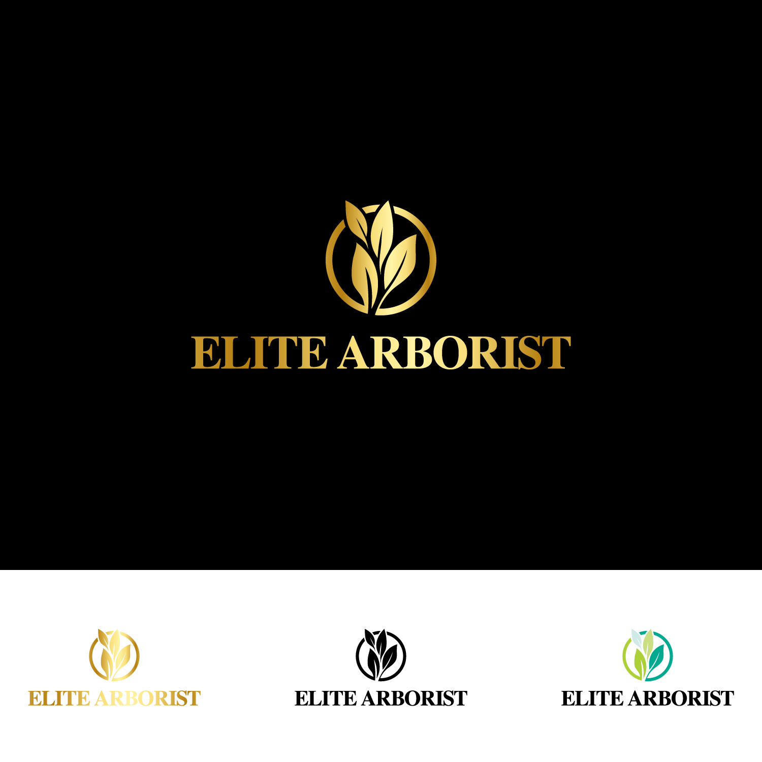 Logo Design by anshtoyj for this project | Design #25674178