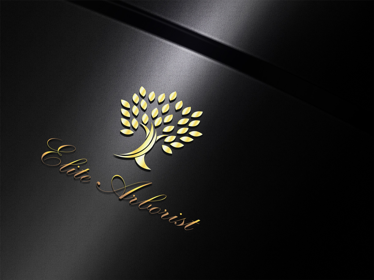 Logo Design by Wonderful design for this project | Design #25675629