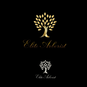Logo Design by Wonderful design for this project | Design: #25675630