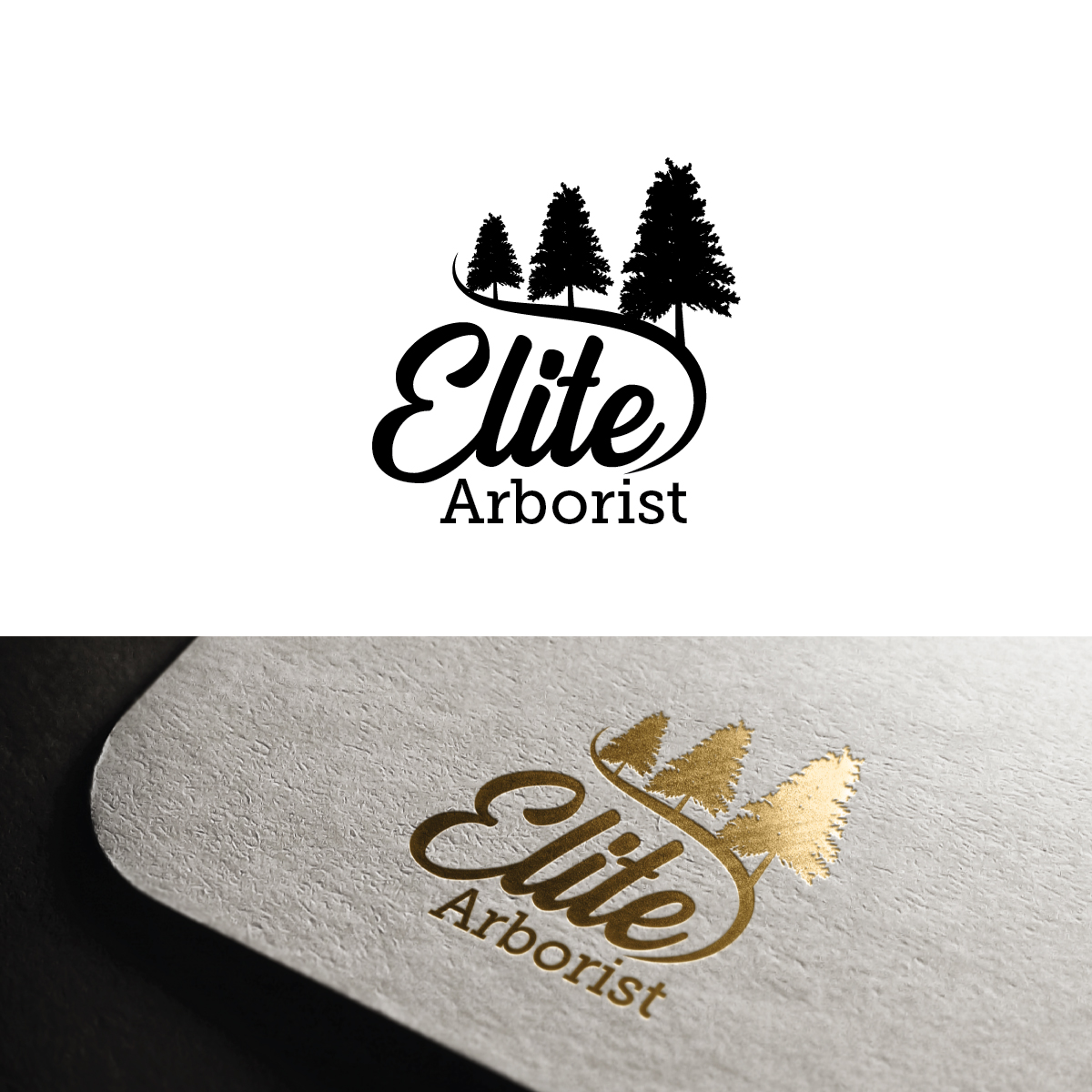 Logo Design by Deziners Zone for this project | Design #25673993