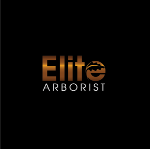 Logo Design by Deziners Zone for this project | Design: #25673994