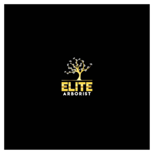 Logo Design by Maxo-Biz for this project | Design: #25675946