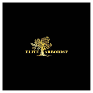 Logo Design by Maxo-Biz for this project | Design: #25675948