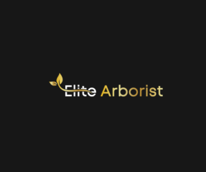 Logo Design by ikramhsakib for this project | Design: #25673389