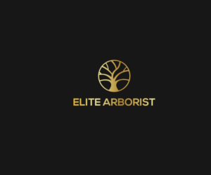 Logo Design by ikramhsakib for this project | Design: #25673390