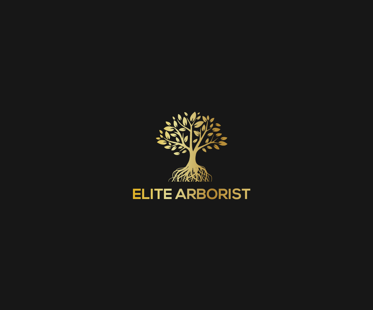 Logo Design by ikramhsakib for this project | Design #25673391