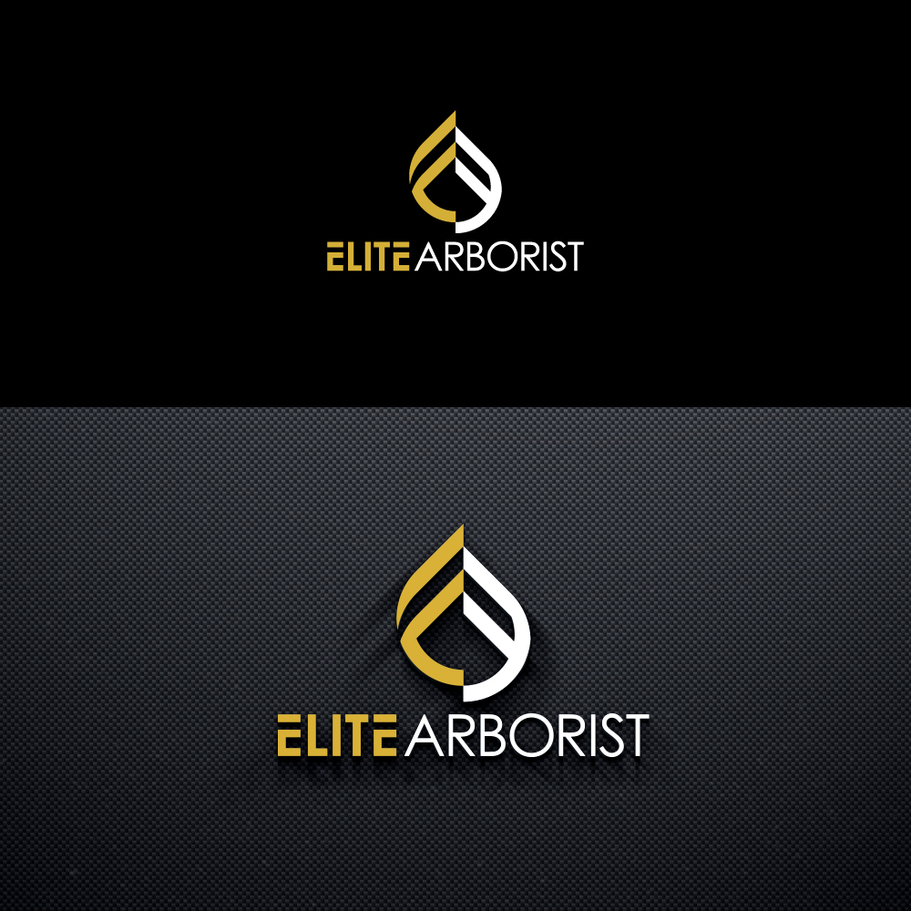 Logo Design by Trident for this project | Design #25675505