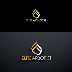 Logo Design by Trident for this project | Design: #25675505