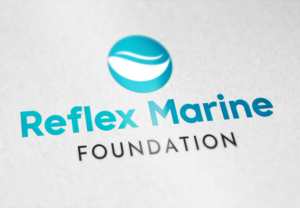 Logo Design by Stellahk