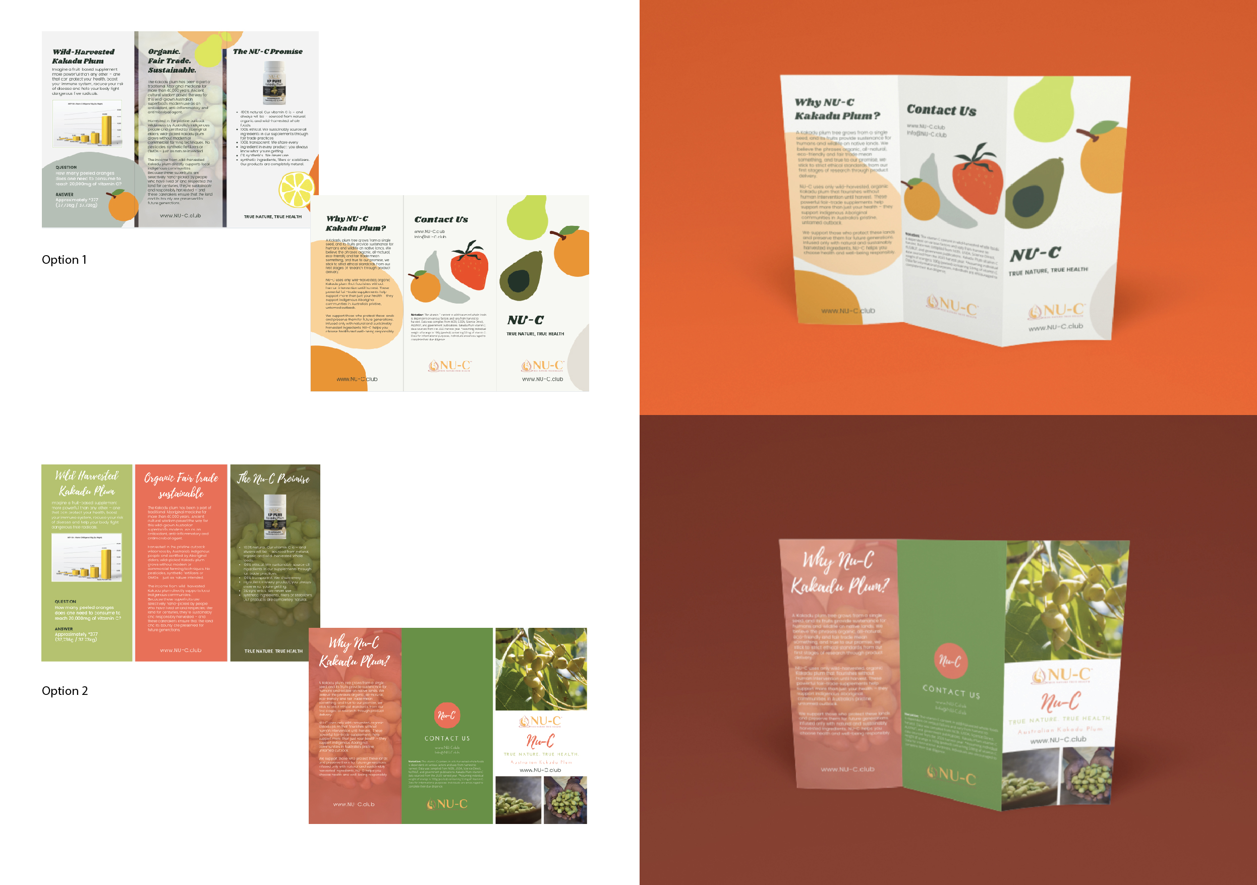 Flyer Design by Bronte Creative Design for Kakadu Health | Design #25710894