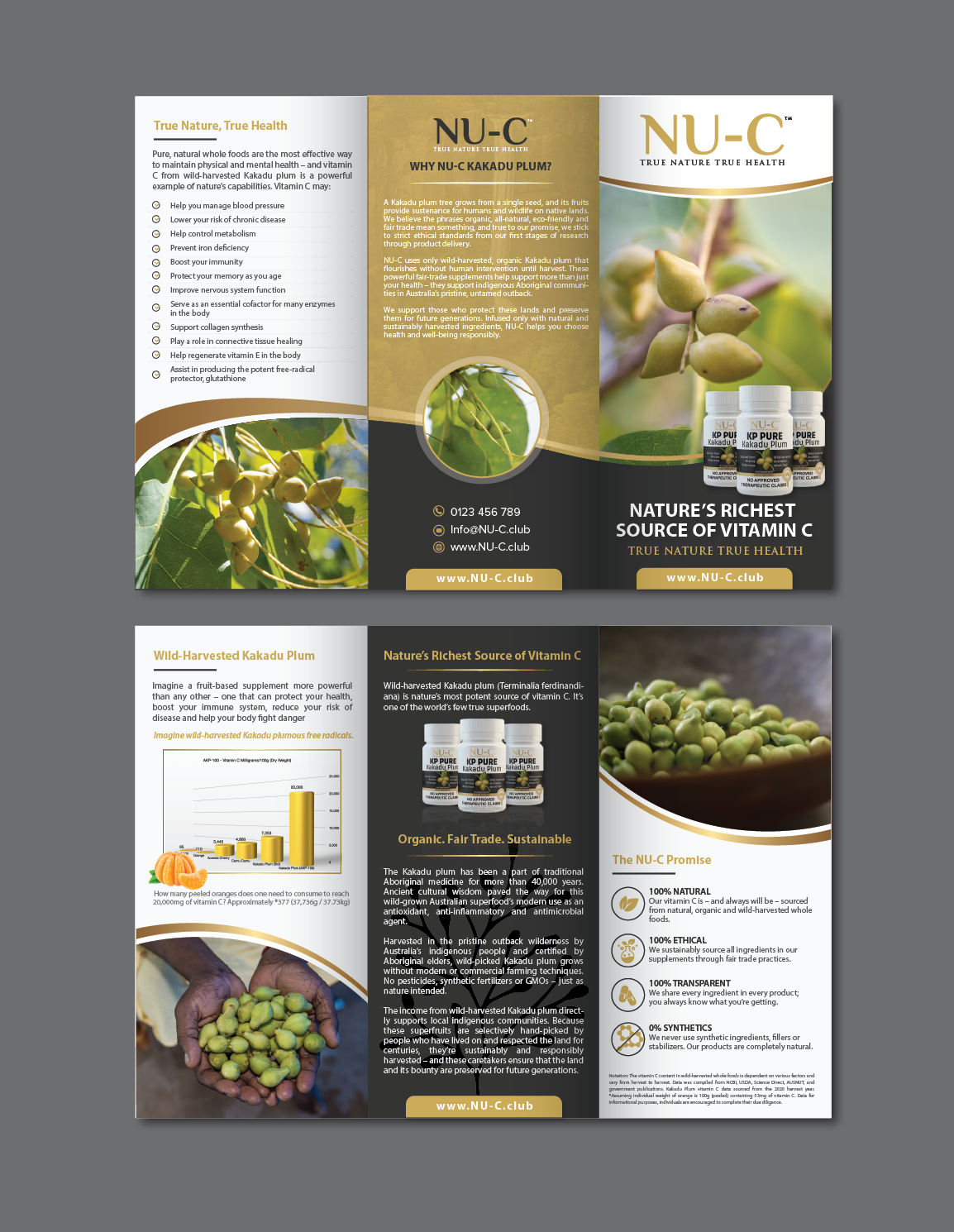 Flyer Design by alex989 for Kakadu Health | Design #25701793