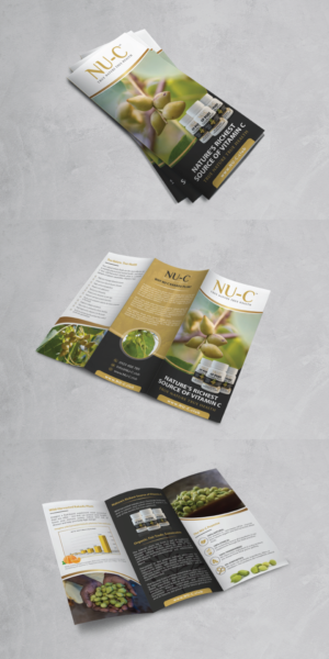 Design a tri-fold brochure for natural vitamin C business. | Diseño de Flyer por alex989