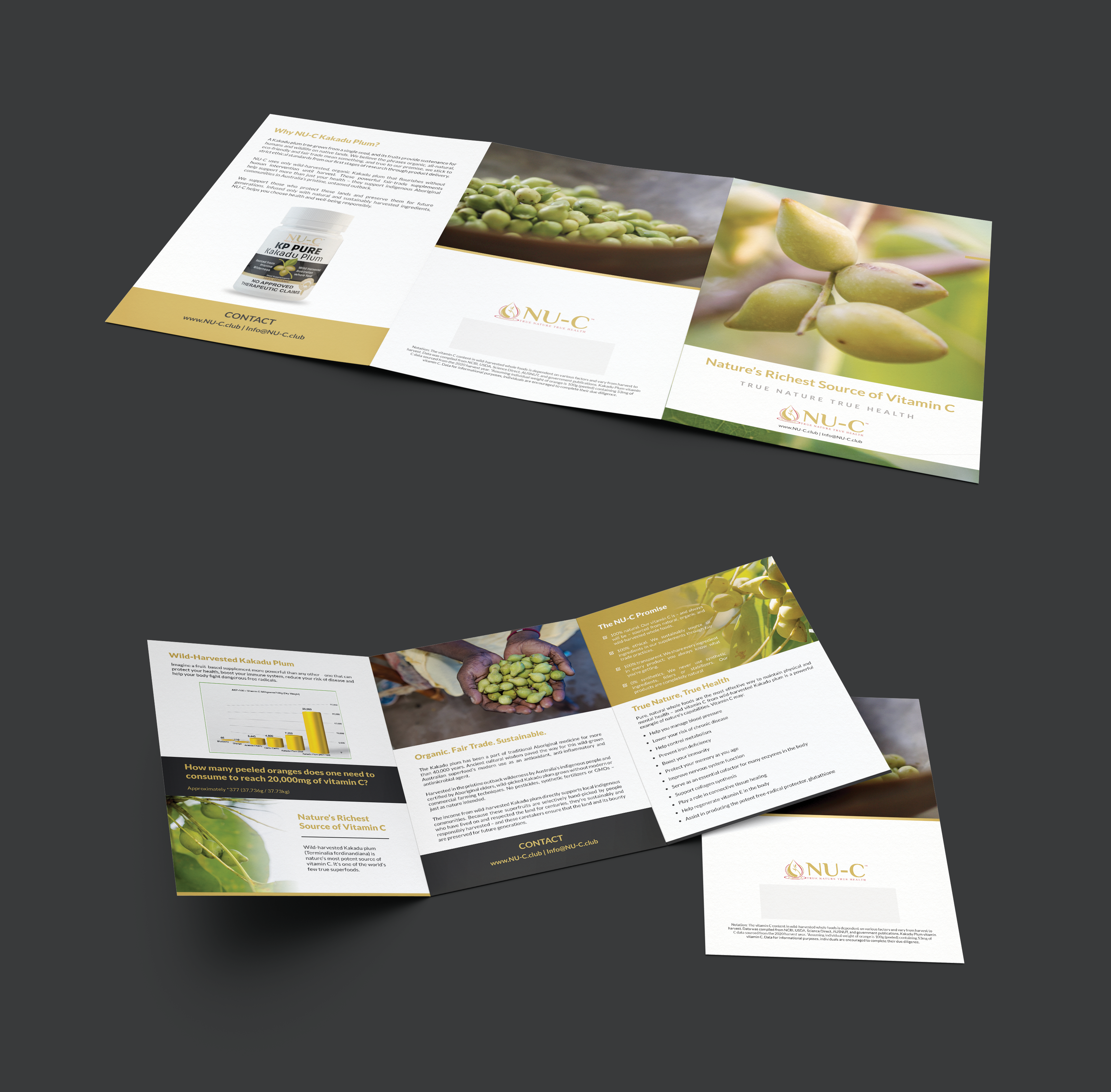 Flyer Design by premnice for Kakadu Health | Design #25696925