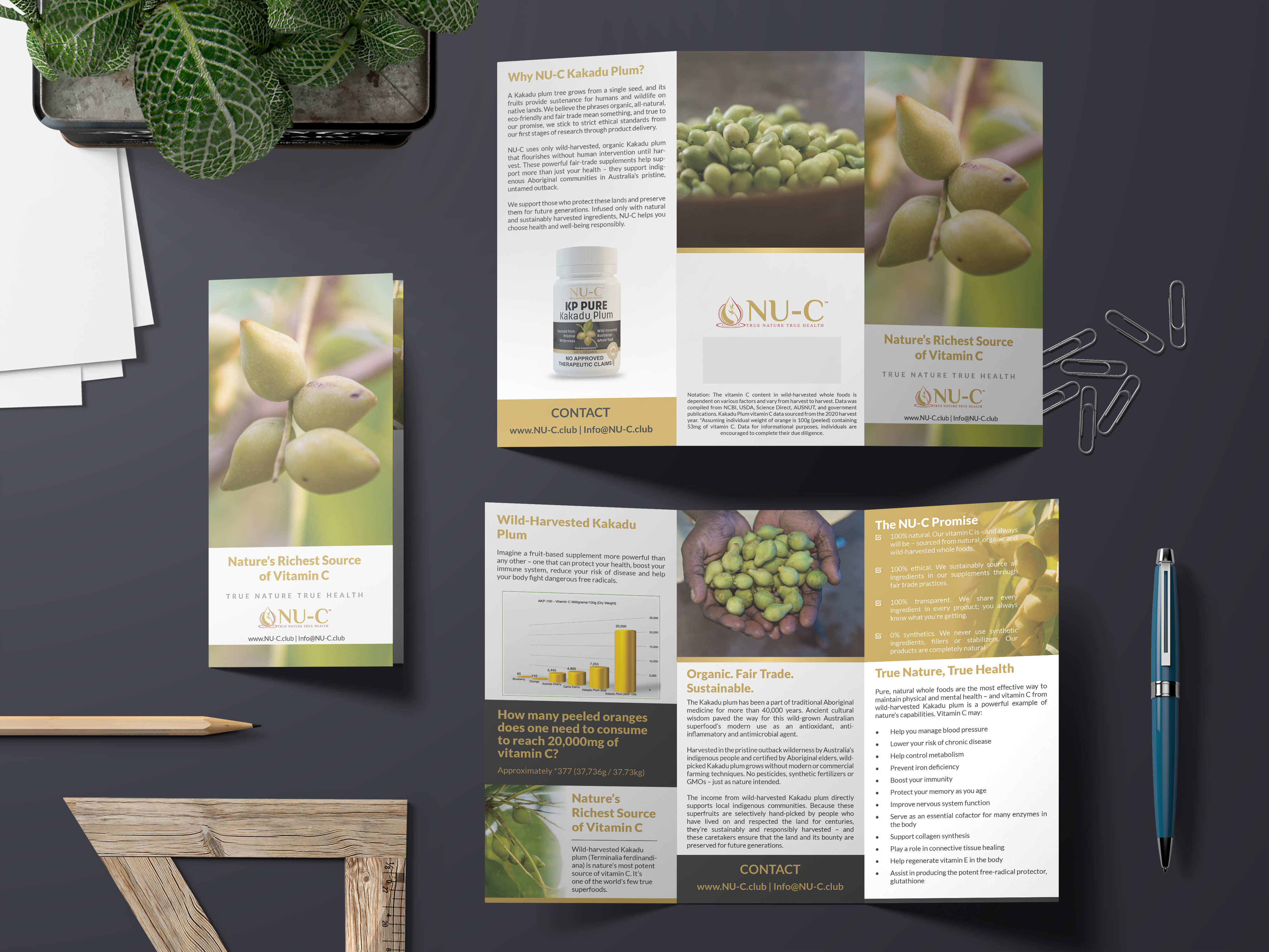 Flyer Design by premnice for Kakadu Health | Design #25701157