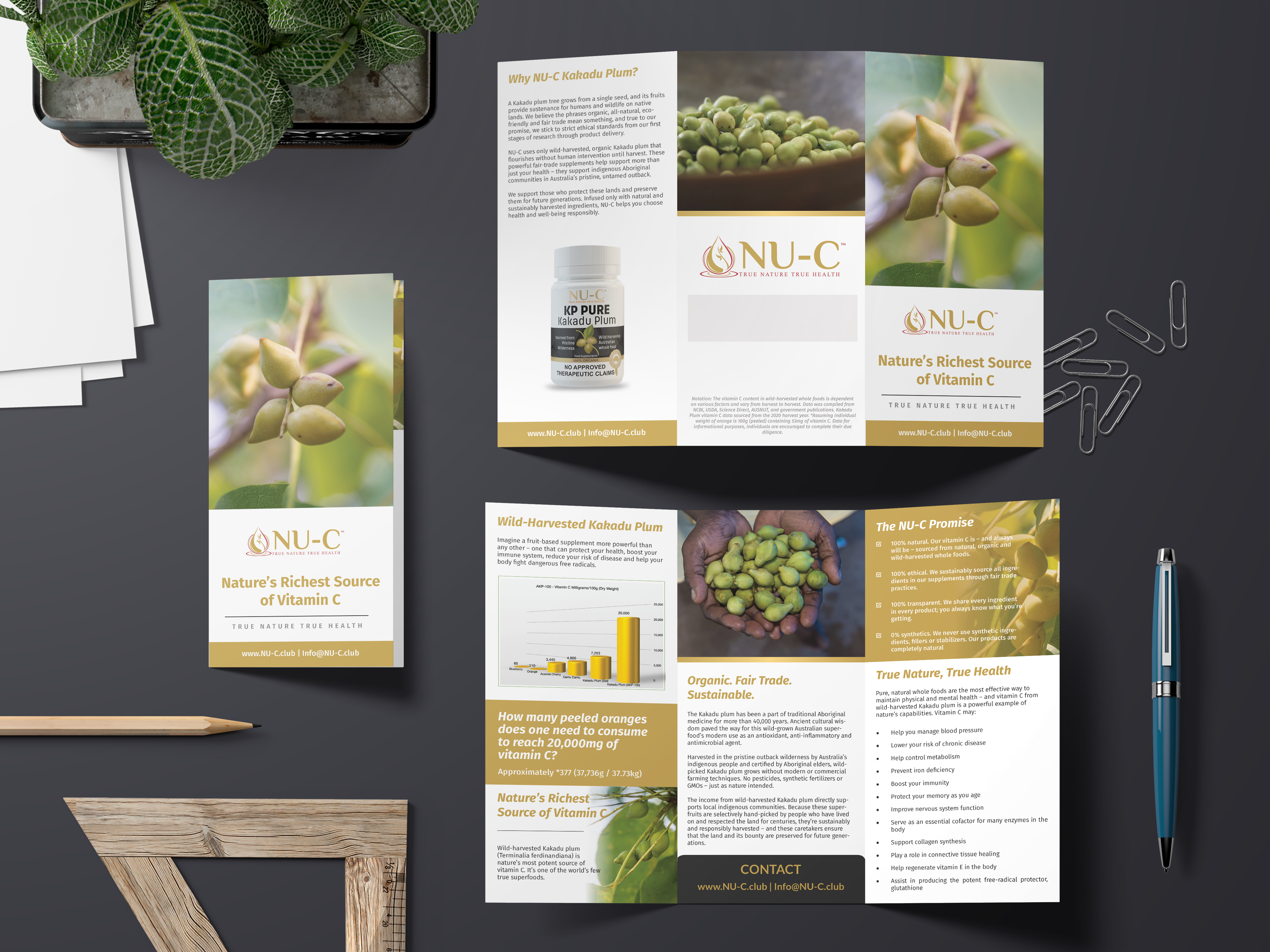 Flyer Design by premnice for Kakadu Health | Design #25702353