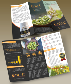 Diseño de Flyer por nyky para Kakadu Health | Diseño #25692052