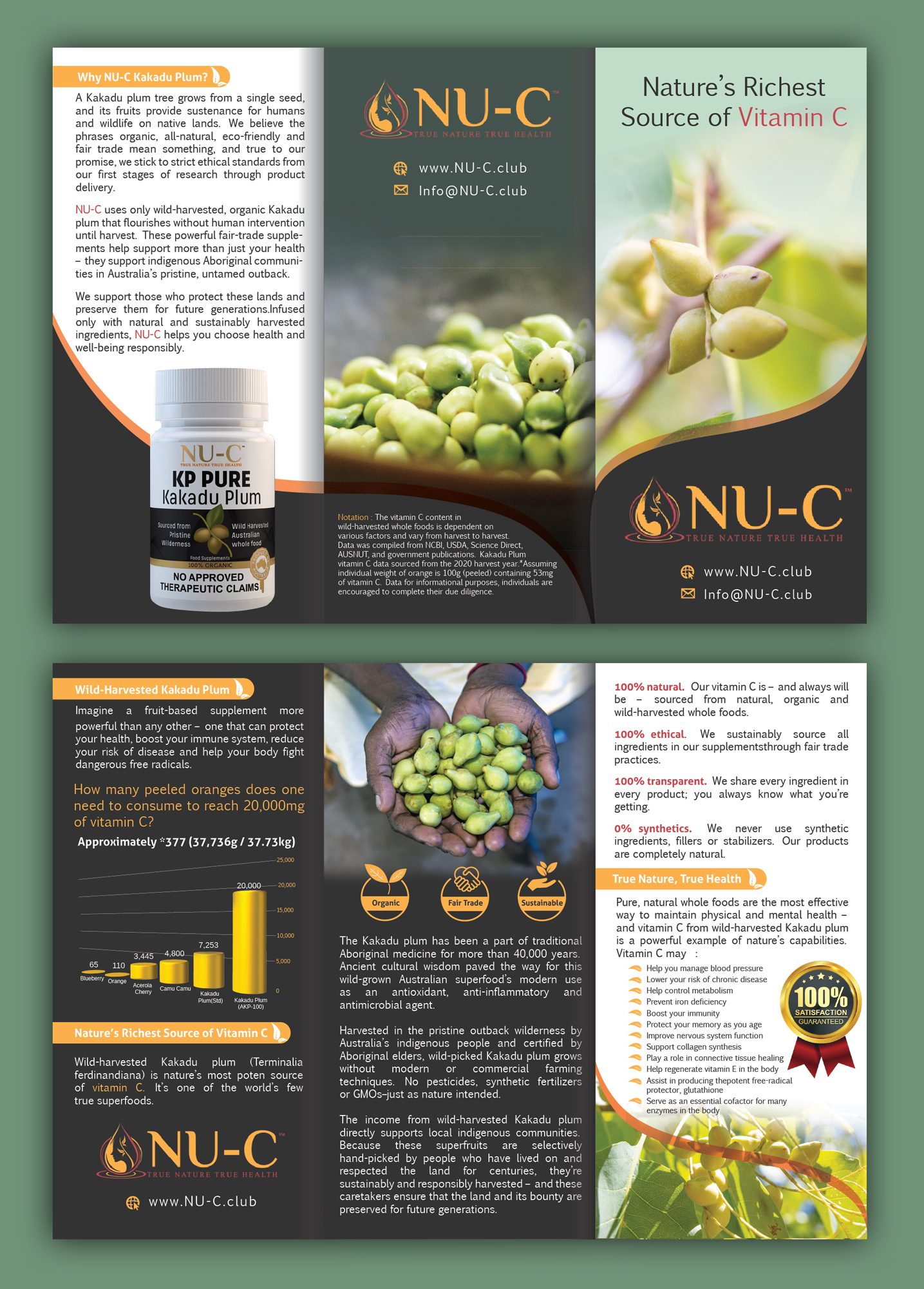 Flyer Design by nyky for Kakadu Health | Design #25700870