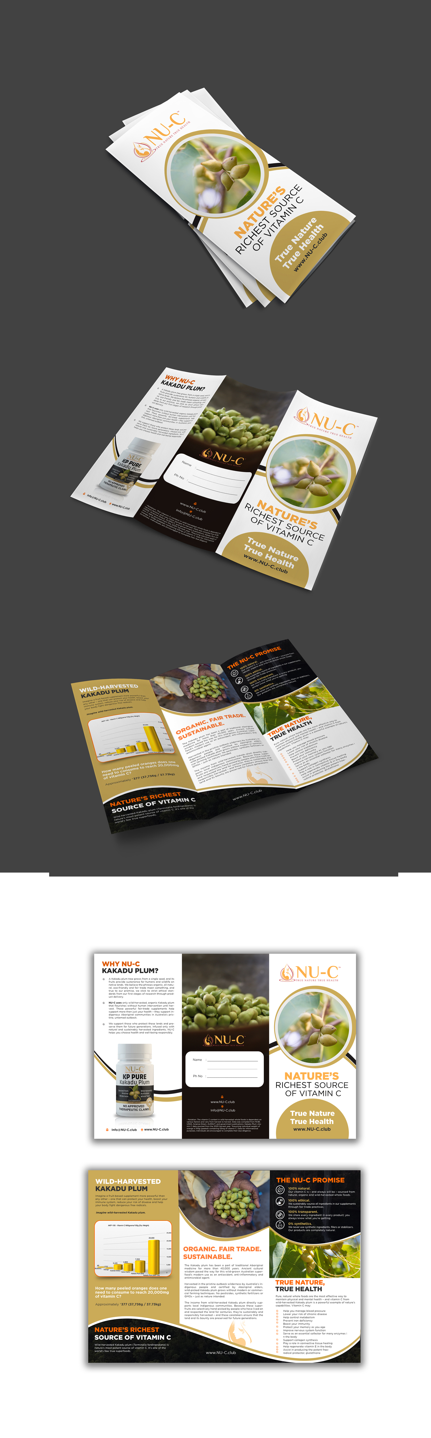Flyer Design by debdesign for Kakadu Health | Design #25695282